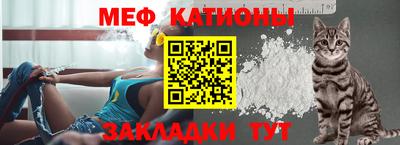 МДПВ Гатчина