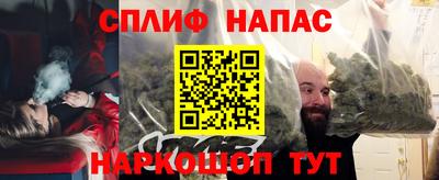 МДПВ Гатчина