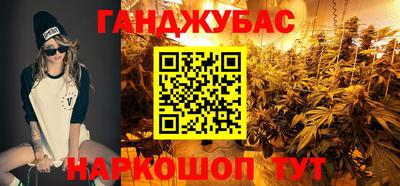 сатива Гагарин