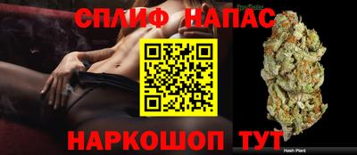сатива Гагарин