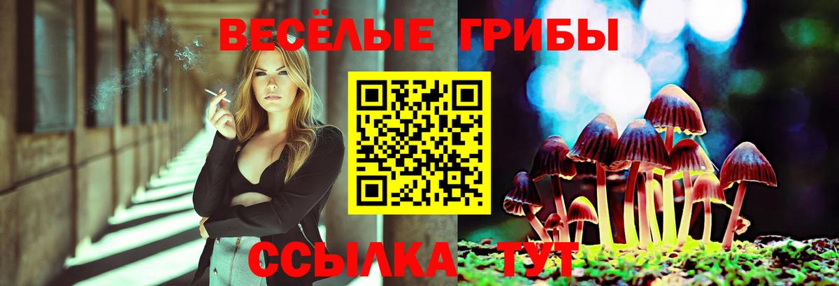 Псилоцибиновые грибы мухоморы Туймазы
