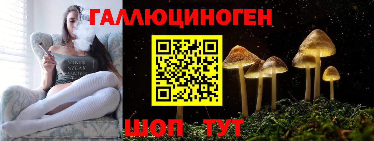 Туймазы  Псилоцибиновые грибы Cubensis  Вход с VPN  Галлюциногенные грибы Cubensis 